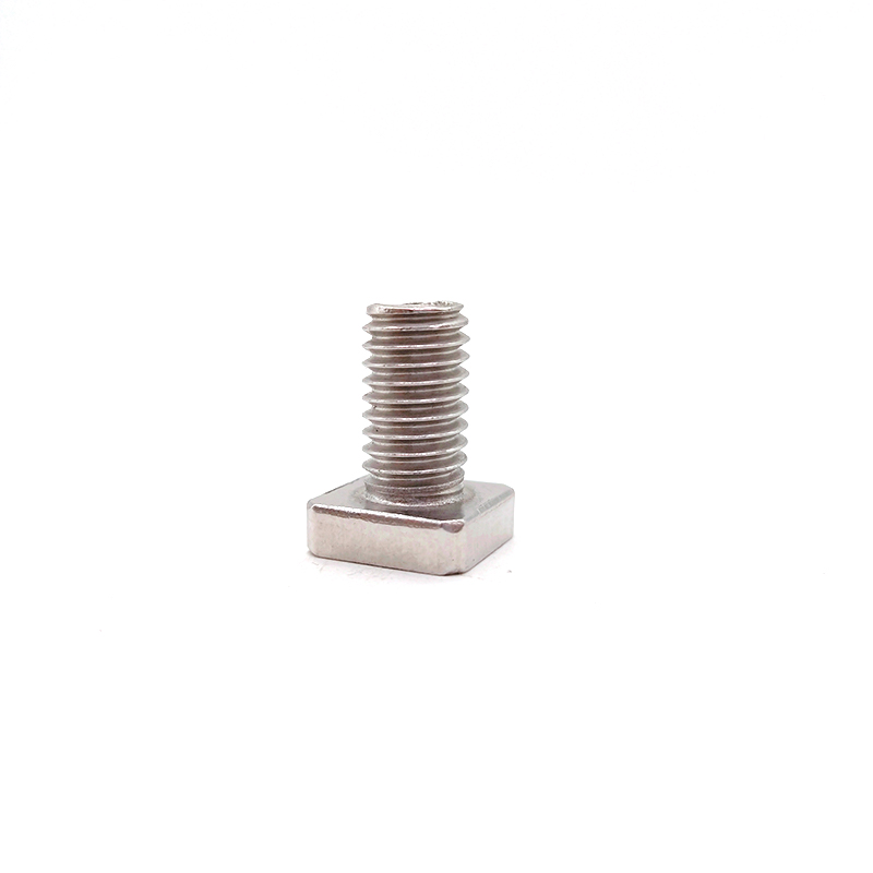 Stainless Steel SS201/304 Square Head Short T Bolt