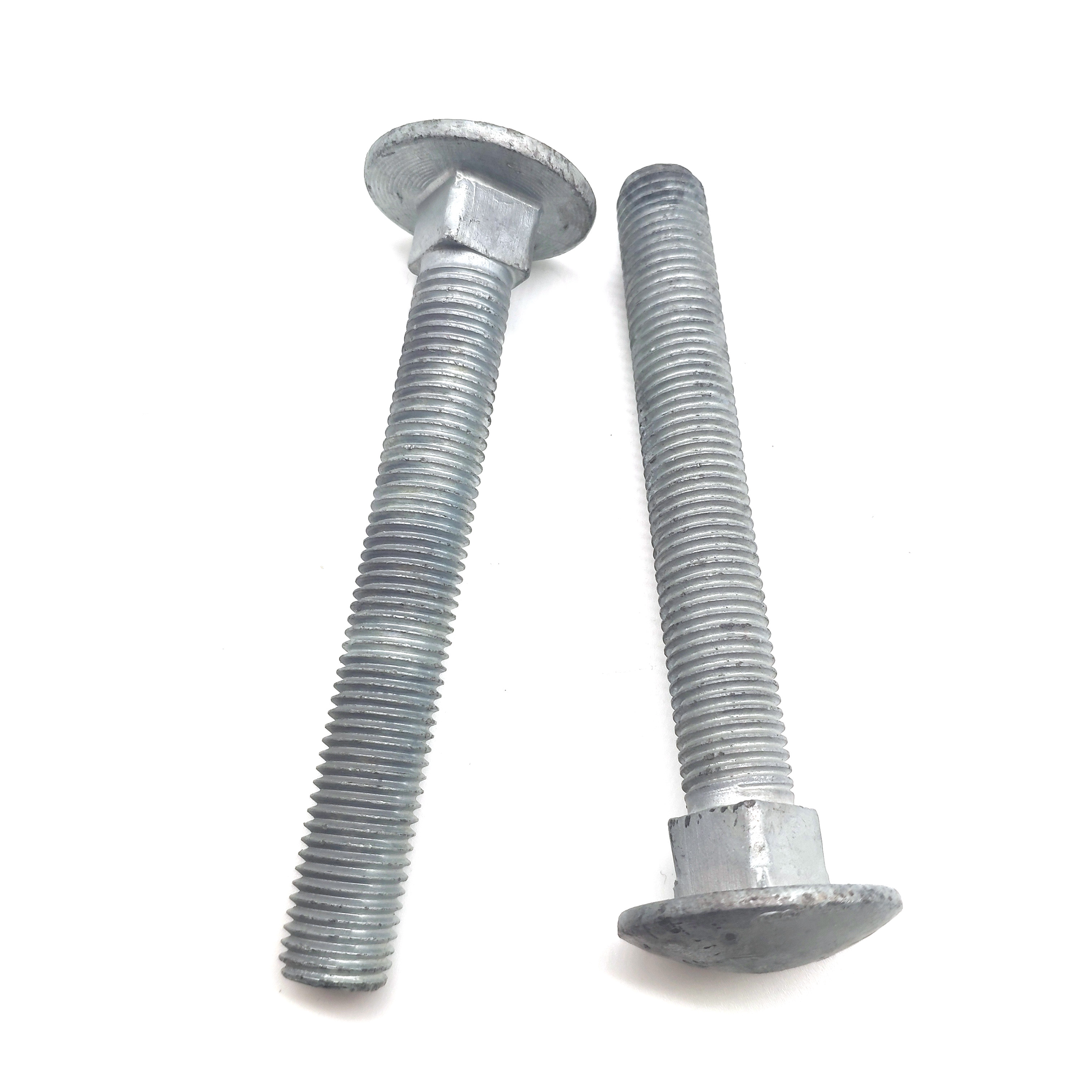 Carbon Steel Grade 4.8 5.8 6.8 M16 M20 HDG Carriage Bolt with Fine Pitch Thread for Power