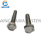 Stainless Steel SS304 SS316 Hex Head Set Screws (DIN7990)