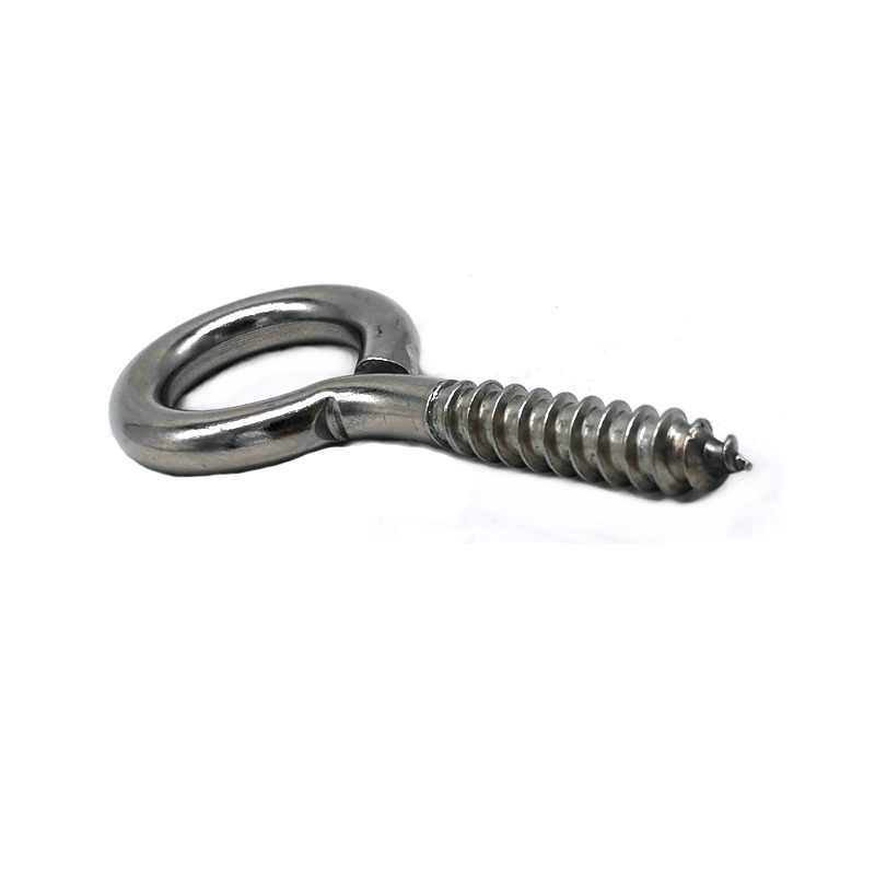 China Supplier M4 M5 Small Stainless Steel Eyelets Screw Hooks Self Tapping Lag Eye Screw