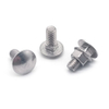 DIN603 Stainless Steel A4-70 SS316 Round Head Square Neck Carriage Bolts