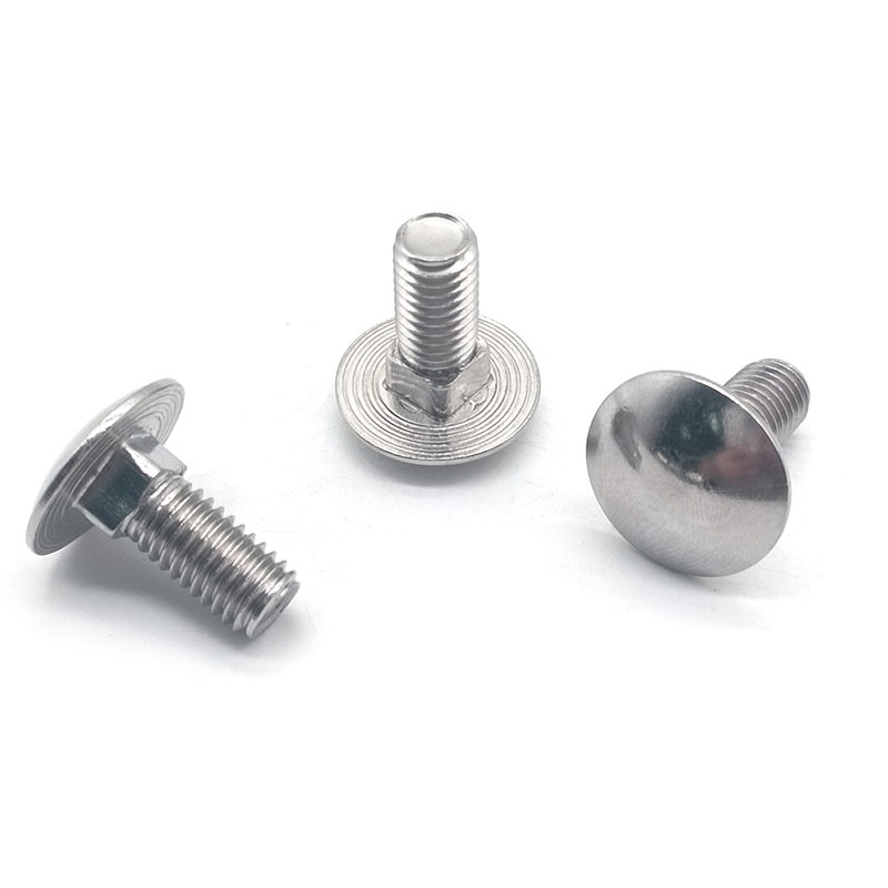 SS304 SS316 M8 25mm DIN603 Small Coach Bolts with Round Head Square Neck