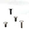 Stainless Steel Coach Bolts