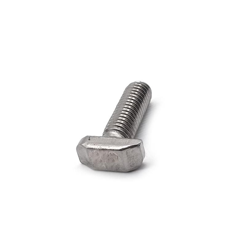 Stainless Steel Customized T Shape SS304 SS316 A2-70 M6 M8 Hammer Head Bolt