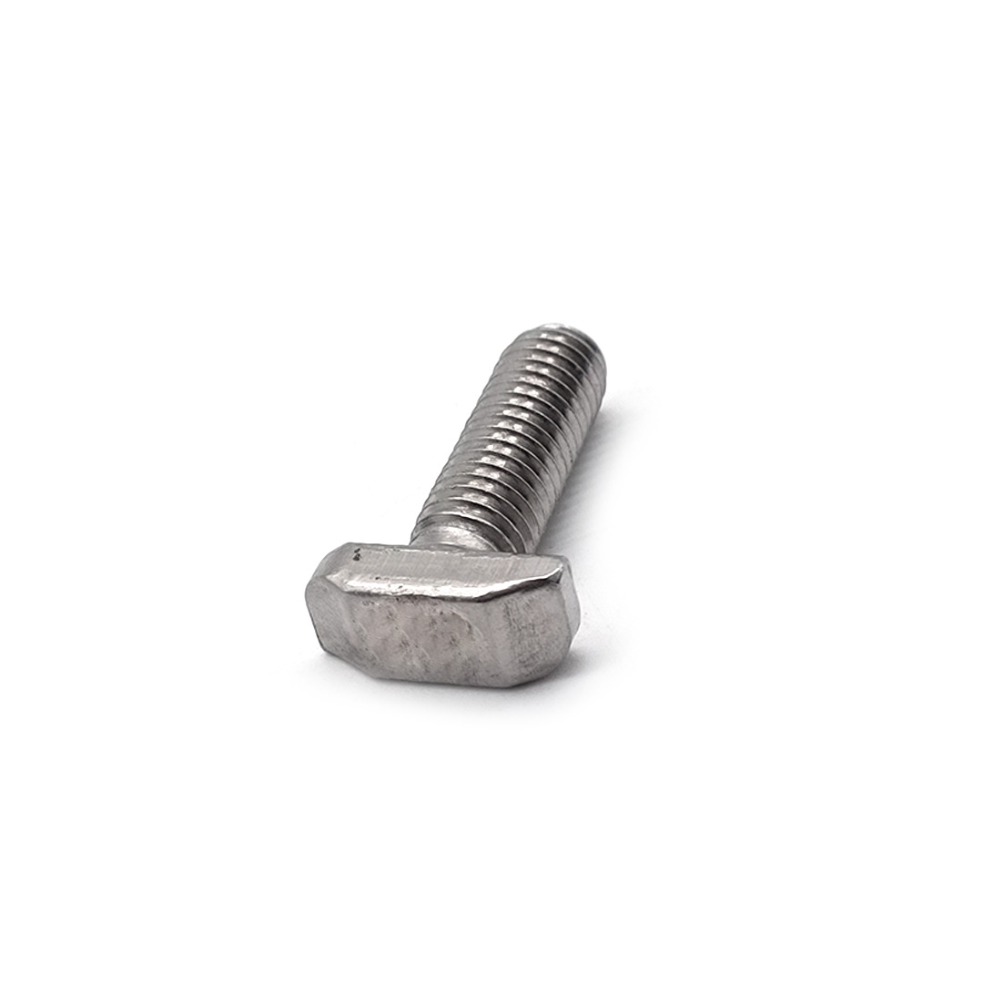 Stainless Steel Customized T Shape SS304 SS316 A2-70 M6 M8 Hammer Head Bolt