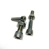 Stainless Steel A2-70 Hex Socket Head Screw DIN912 Bolt with Nut