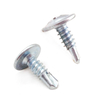 Carbon Steel Grade 4.8/6.8/8.8 Zinc Coating Phillips Truss Head Short Self Drilling Screw