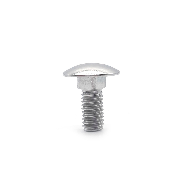 SS304 SS316 M8 25mm DIN603 Small Coach Bolts with Round Head Square Neck