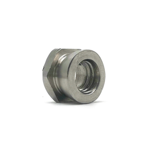 M3 M4 M6 M8 M10 Stainless Steel SS316 SS304 Hex Breakaway Security Nuts