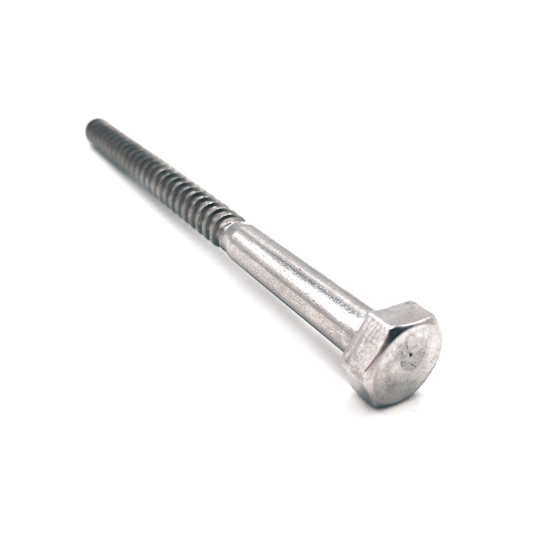 DIN571 SS304 SS316 Self Tapping Stainless Steel Hexagon Head Wood Screws