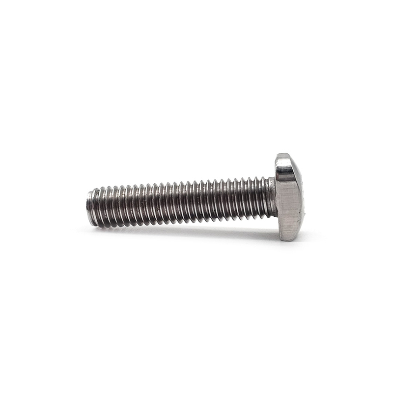 Customized T-Bolt Stainless Steel 304 316 A2 A4 T Shape T Bolt
