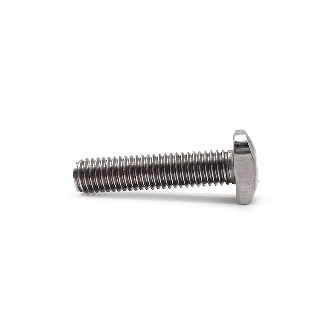 Customized T-Bolt Stainless Steel 304 316 A2 A4 T Shape T Bolt