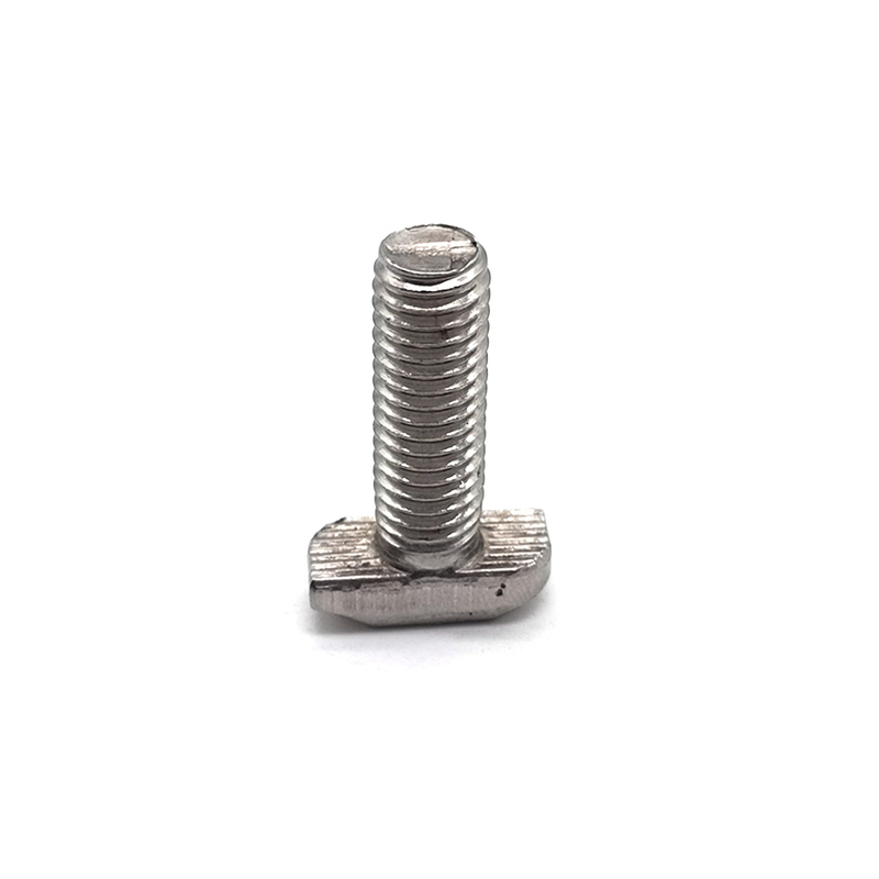 Stainless Steel Customized T Shape SS304 SS316 A2-70 M6 M8 Hammer Head Bolt