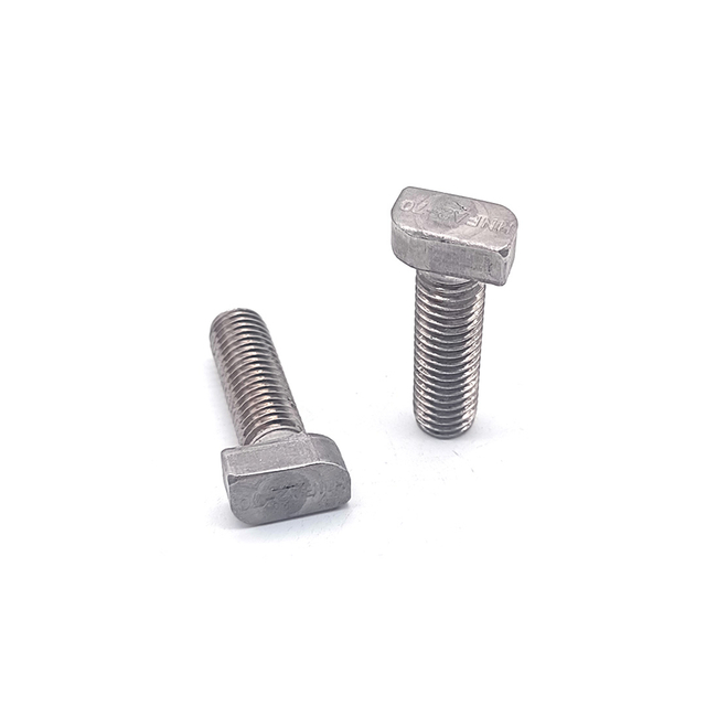Stainless Steel SS304 316 A2-70 Sandblasting T Bolt