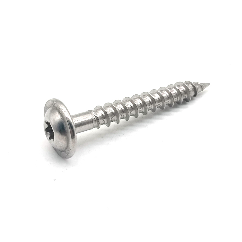 Stainless Steel Pan Head Torx Zinc Self Tapping Screw