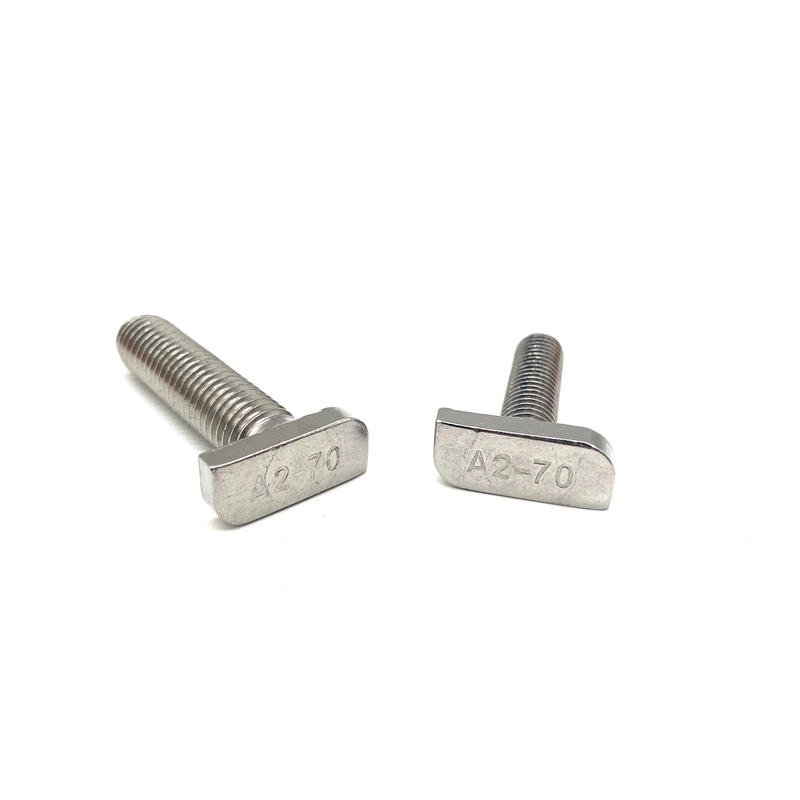 Customized Fastener Stainless Steel 304 316 A2-70 A4-70 T Head Type Bolt