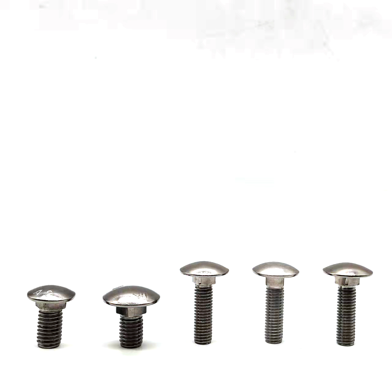 m12 stainless steel coach bolts