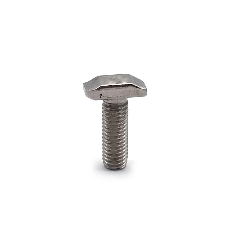 Stainless Steel Customized T Shape SS304 SS316 A2-70 M6 M8 Hammer Head Bolt