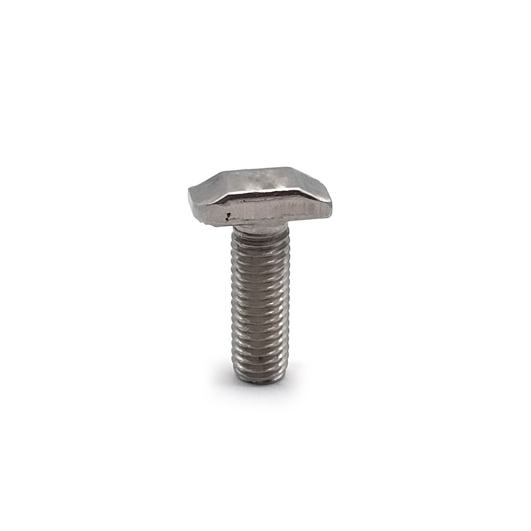 Stainless Steel Customized T Shape SS304 SS316 A2-70 M6 M8 Hammer Head Bolt