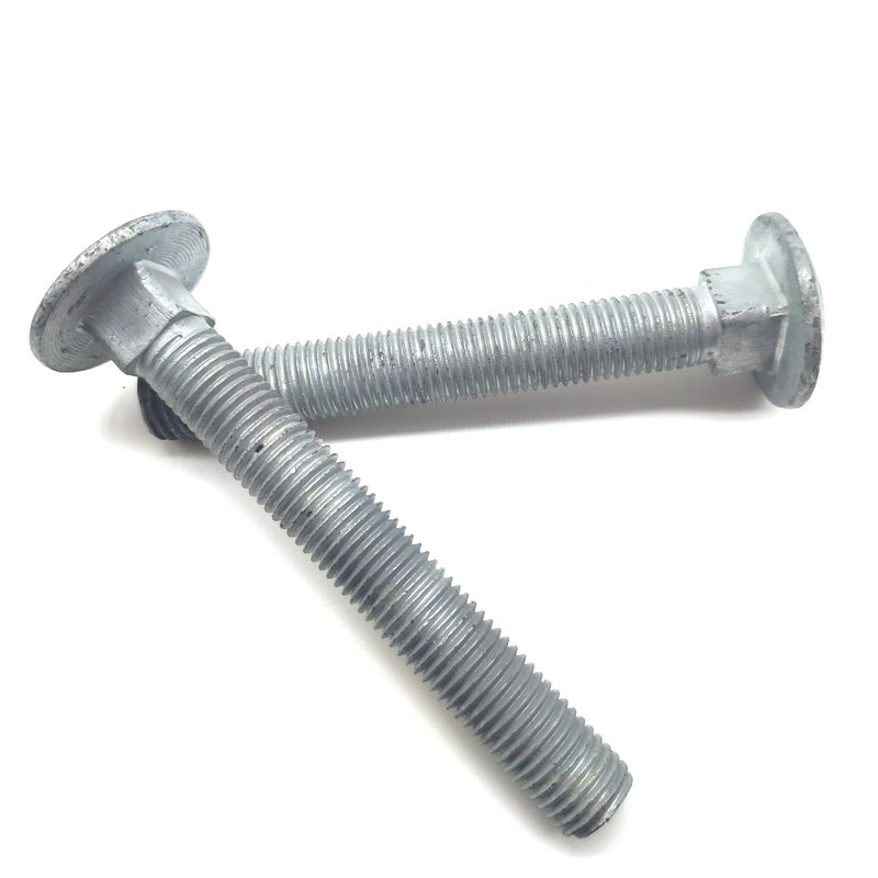 Carbon Steel Hot-dip Galvanizing Long Round Head Square Neck Coach Bolts