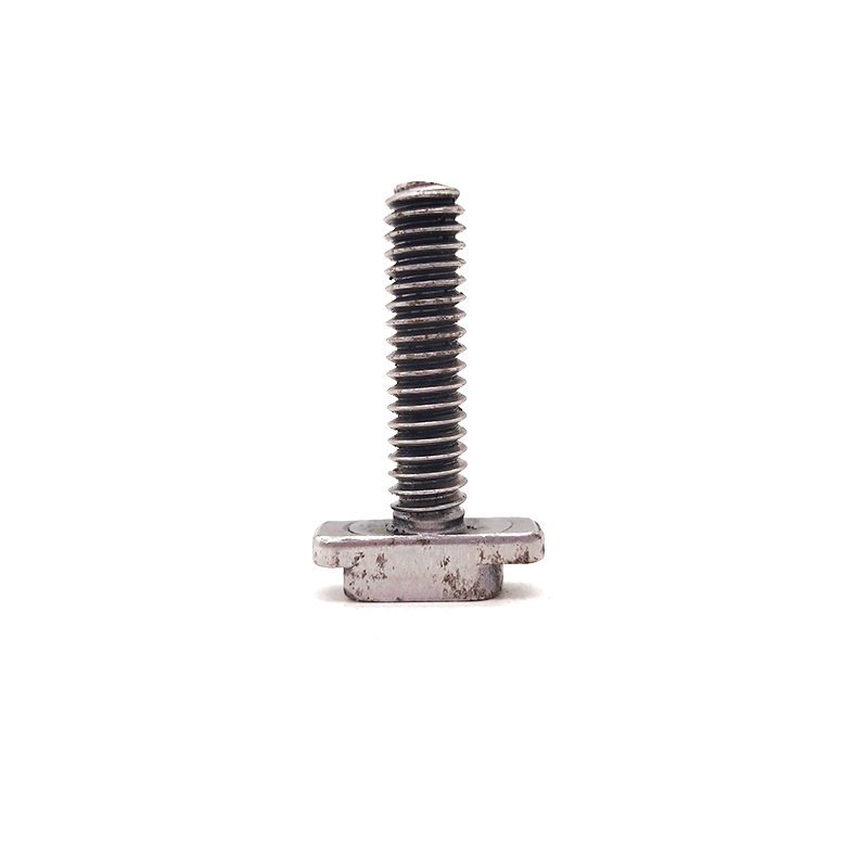 Stainless Steel SS201/SS304 Non-standard Part Cross Recessed T Type Bolt