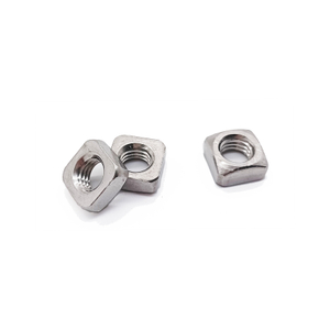 Factory Price Stainless Steel DIN557 M3 M4 M5 Square Nut 