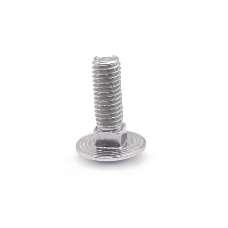 M5 M6 DIN603 INOX A4 INOX A2 Stainless Steel 314 316 Square Neck Carriage Bolt 