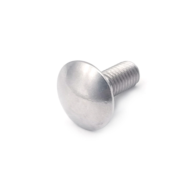 SS304 SS316 M8 25mm DIN603 Small Coach Bolts with Round Head Square Neck