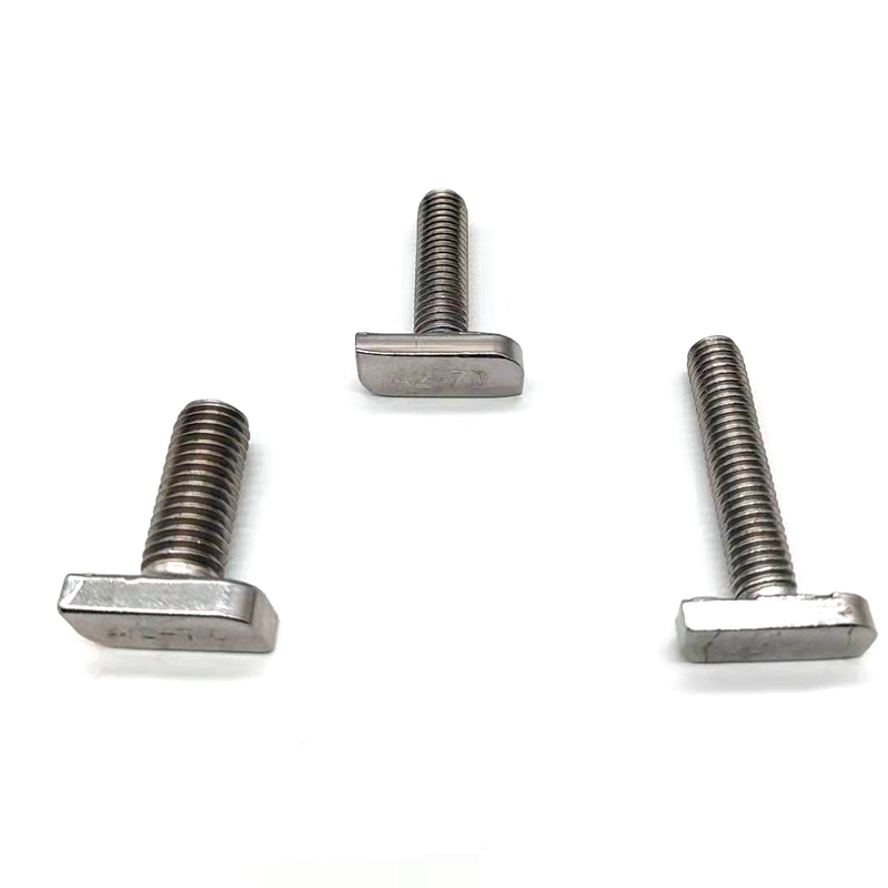 China Factory M8 Stainless Steel Bolts T Head Bolts