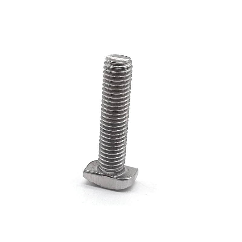 Customized T-Bolt Stainless Steel 304 316 A2 A4 T Shape T Bolt