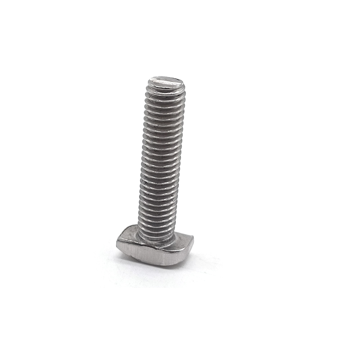 Customized T-Bolt Stainless Steel 304 316 A2 A4 T Shape T Bolt