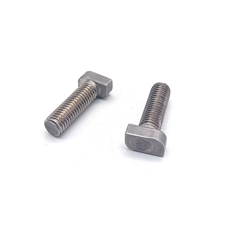 Stainless Steel SS304 316 A2-70 Sandblasting T Bolt