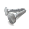 Carbon Steel Hot-dip Galvanizing Long Round Head Square Neck Coach Bolts