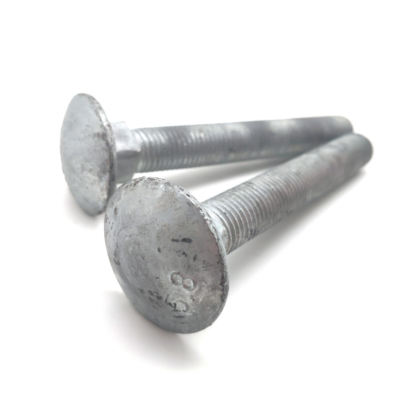 Carbon Steel Hot-dip Galvanizing Long Round Head Square Neck Coach Bolts