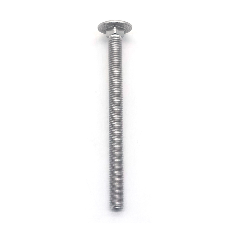 Stainless Steel 304 316 M8x100mm Round Head Long Coach Bolts with Square Neck