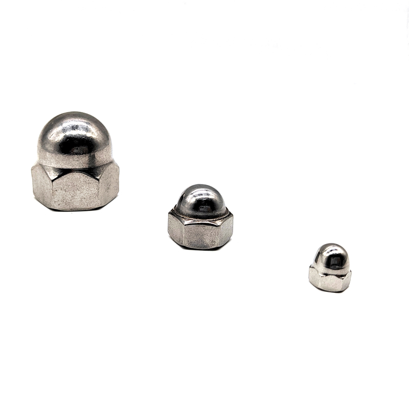 Stainless Steel 304 316 M4 M6 M10 Hex Cap Nuts 