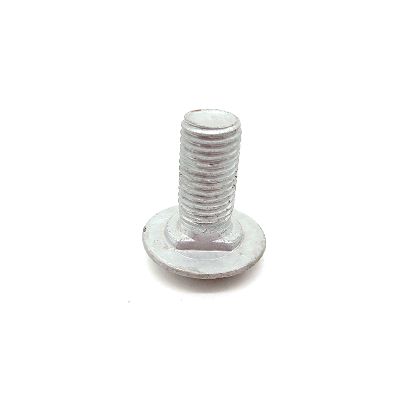 A2-70 Carbon Steel Hot Dip Galvanized Non-standard Round Head Short Square Neck Carriage Bolt 