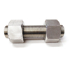 A2 A4 Stainless Steel Heavy Thread Rod with Hex Nuts