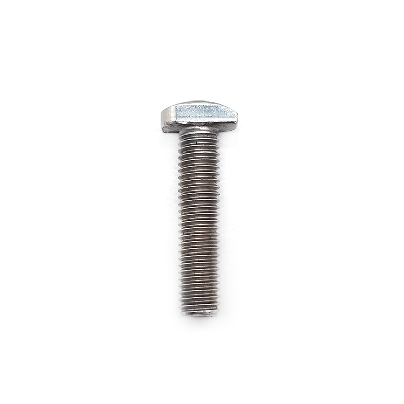 Customized T-Bolt Stainless Steel 304 316 A2 A4 T Shape T Bolt