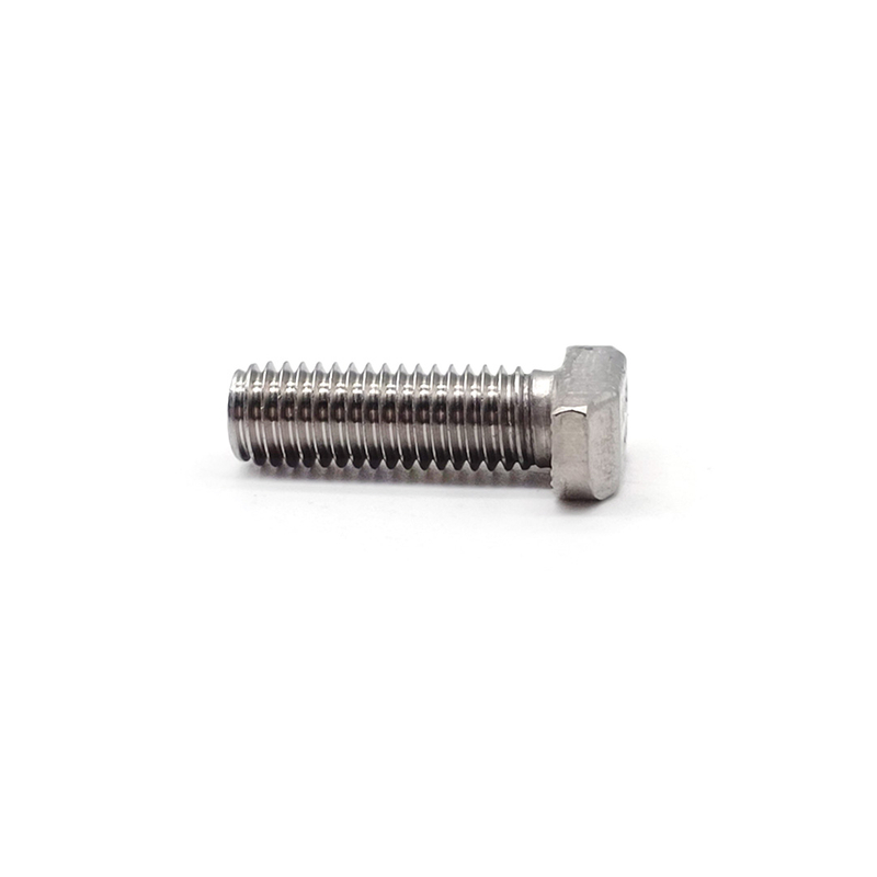 Stainless Steel Customized T Shape SS304 SS316 A2-70 M6 M8 Hammer Head Bolt