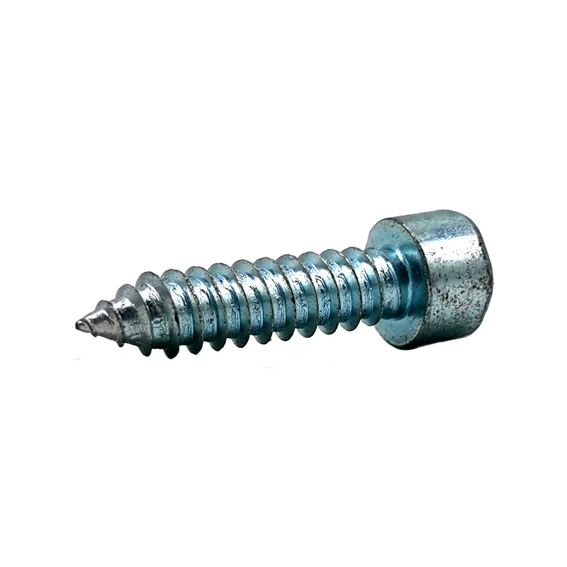 Carbon Steel Galvanized Hex Socket Allen Self Tapping Screw