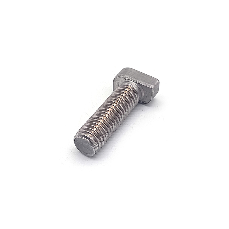 Stainless Steel SS304 316 A2-70 Sandblasting T Bolt
