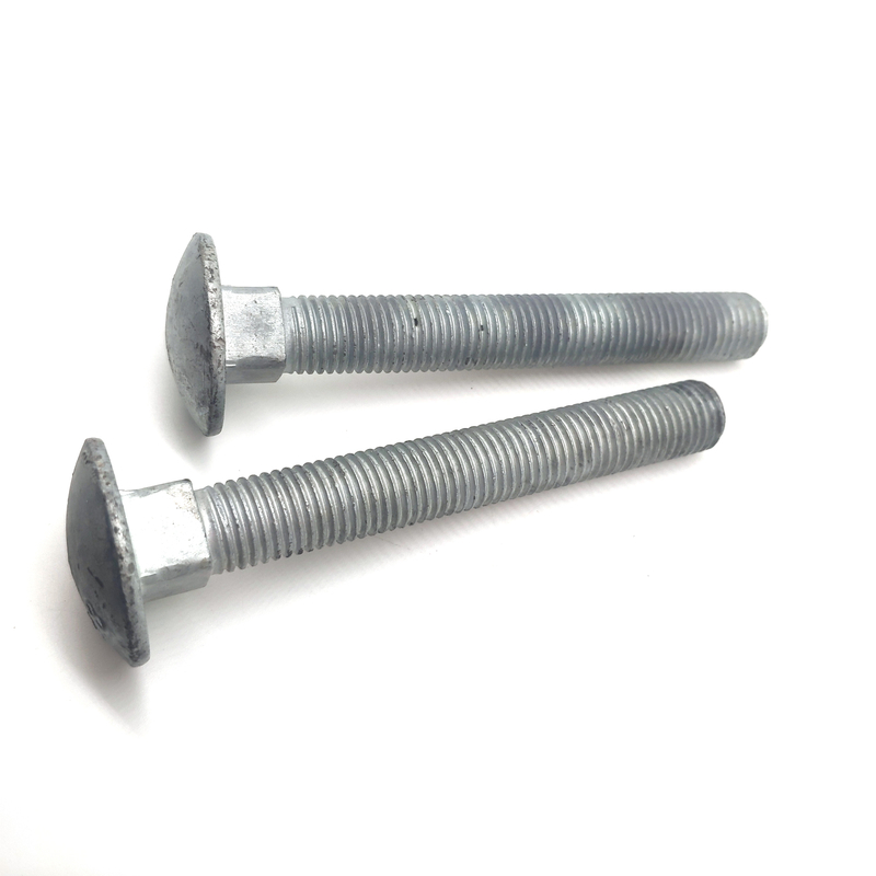 Carbon Steel Hot-dip Galvanizing Long Round Head Square Neck Coach Bolts