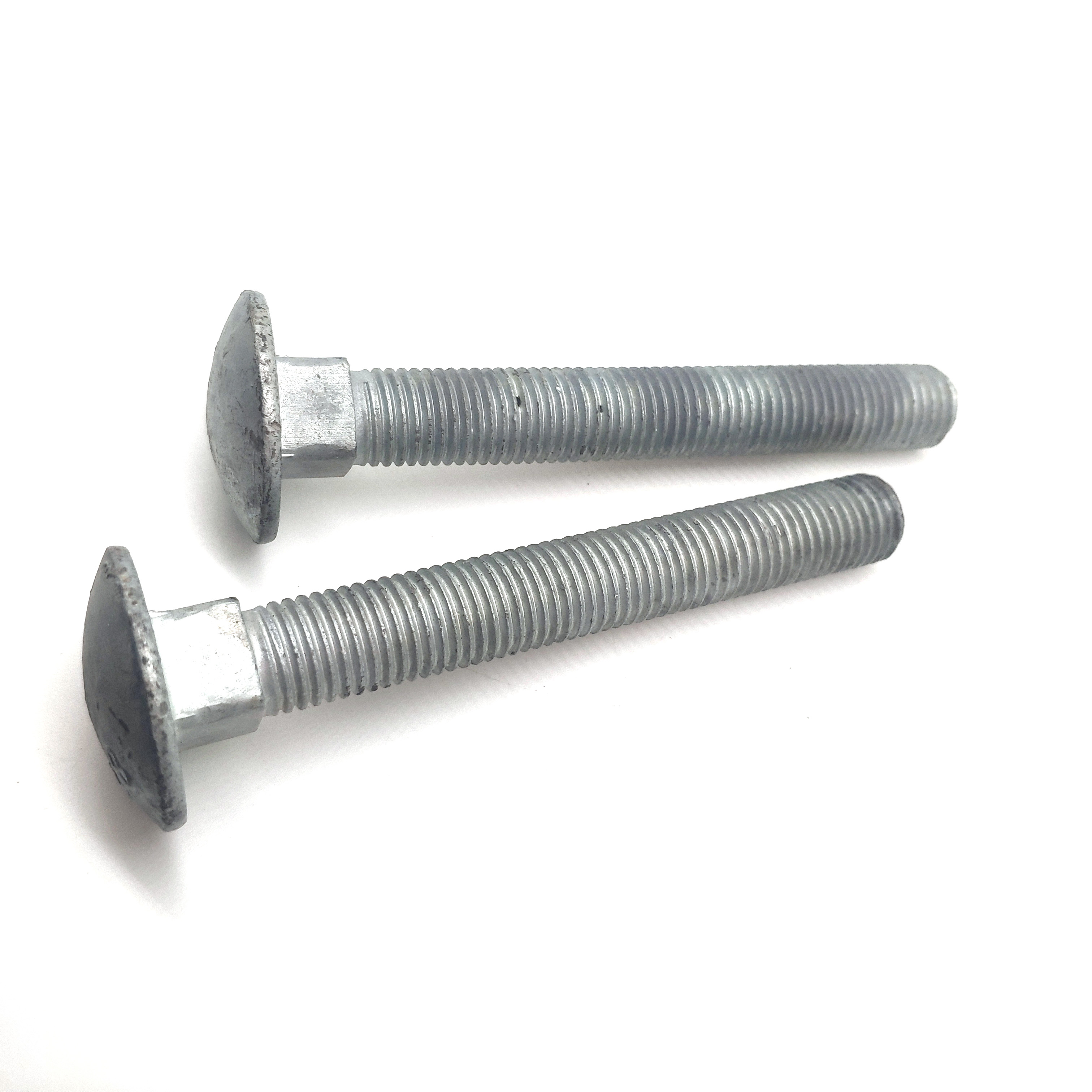 Carbon Steel Hot-dip Galvanizing Long Round Head Square Neck Coach Bolts