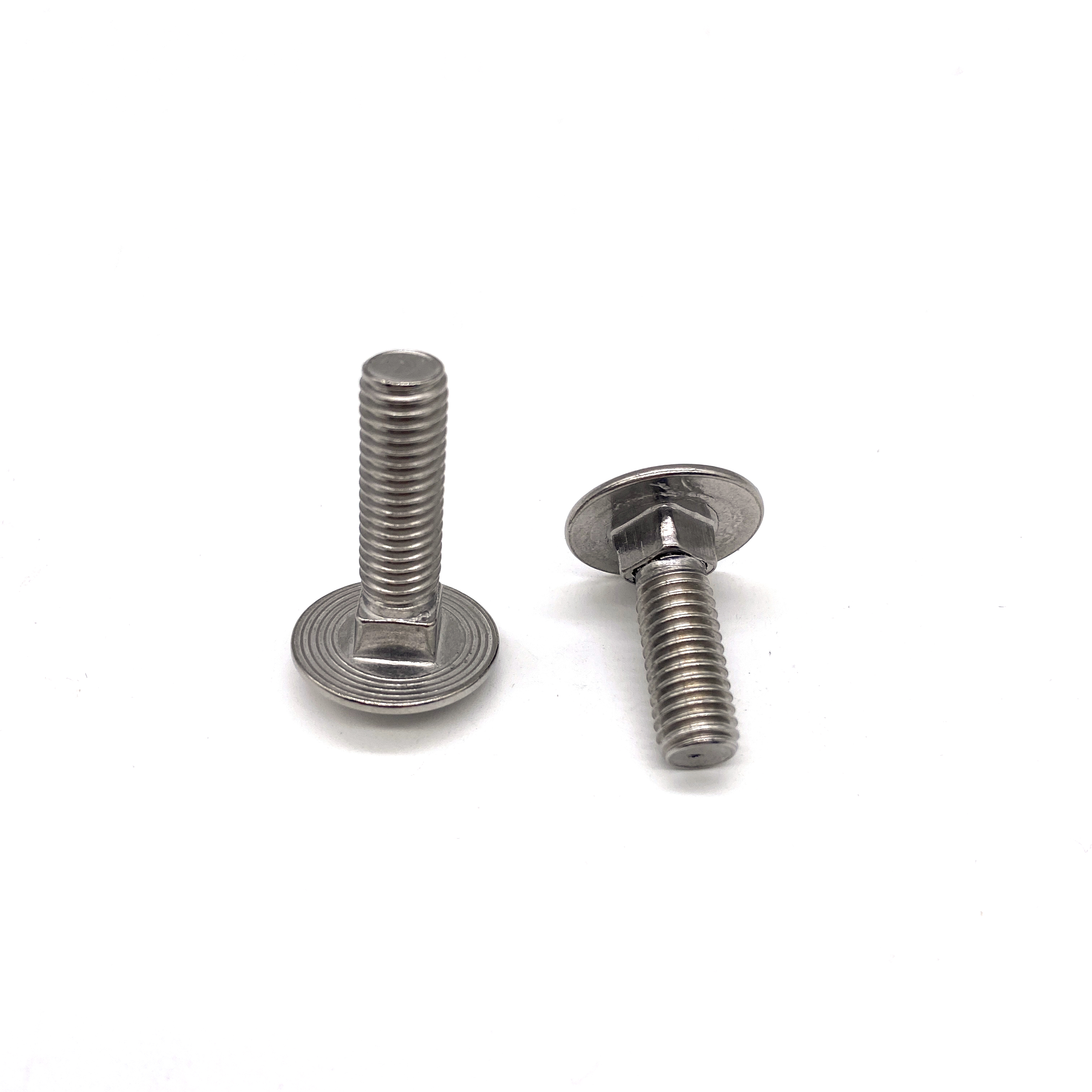 Cold Formed Stainless Steel 304 316 A2-70 A4-70 Short Square Neck Coach Carriage Bolt