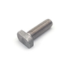 Stainless Steel SS304 316 A2-70 Sandblasting T Bolt