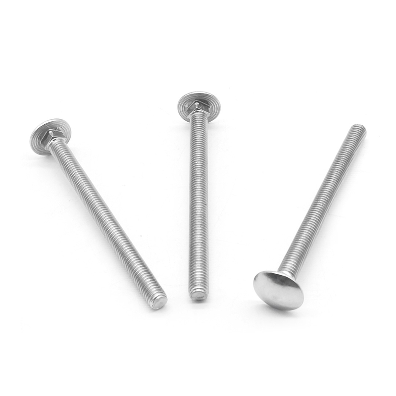 Stainless Steel 304 316 M8x100mm Round Head Long Coach Bolts with Square Neck