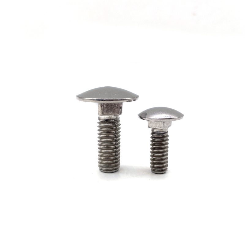 Cold Formed Stainless Steel 304 316 A2-70 A4-70 Short Square Neck Coach Carriage Bolt