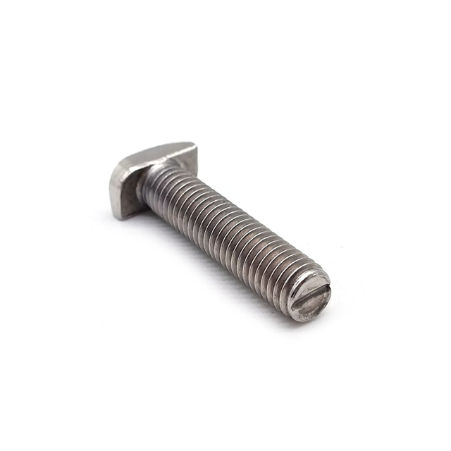 Customized T-Bolt Stainless Steel 304 316 A2 A4 T Shape T Bolt