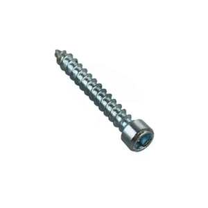 Carbon Steel Galvanized Hex Socket Allen Self Tapping Screw
